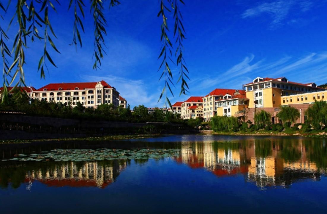 山东考生注意！填报志愿避开这些发假证的虚假大学