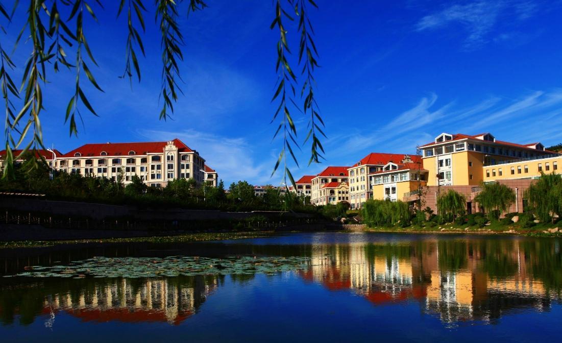 山东考生注意!填报志愿避开这些发假证的虚假大学