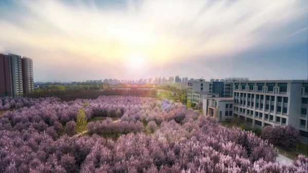 高招关键问题解答:精准把握招考政策,做好志愿填报与选校择专业