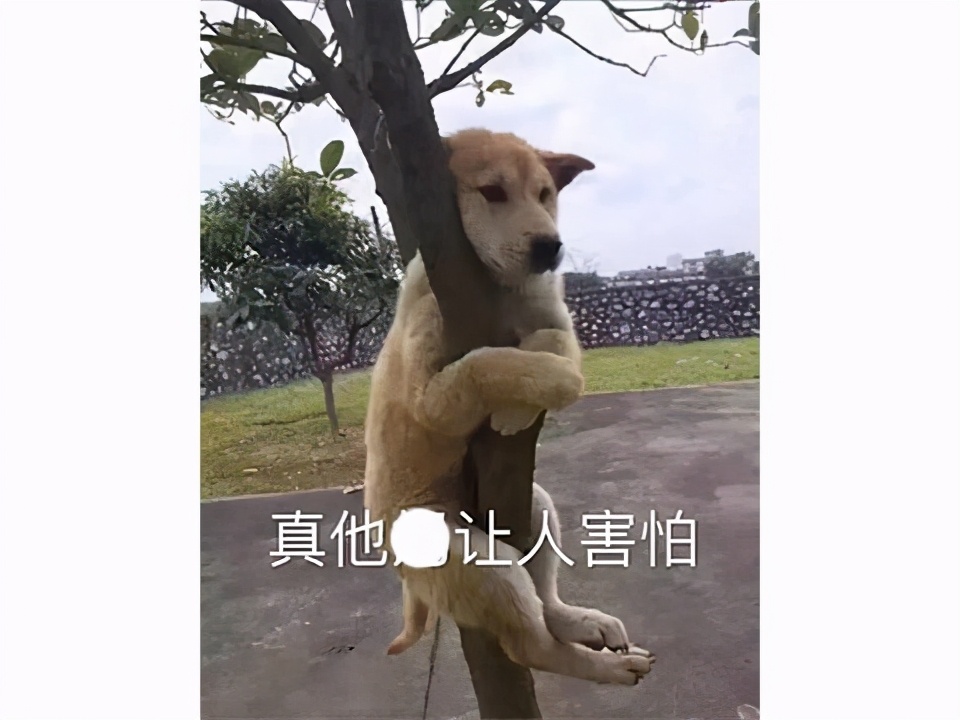 国产游戏又好起来了吗?霸占Steam排行榜整整一周,连老外都翻墙学技能