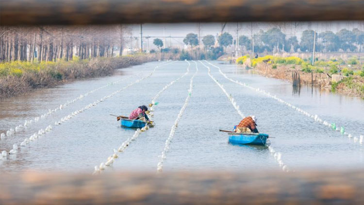 警惕!高考诈骗套路多,收到高考作弊短信别轻信