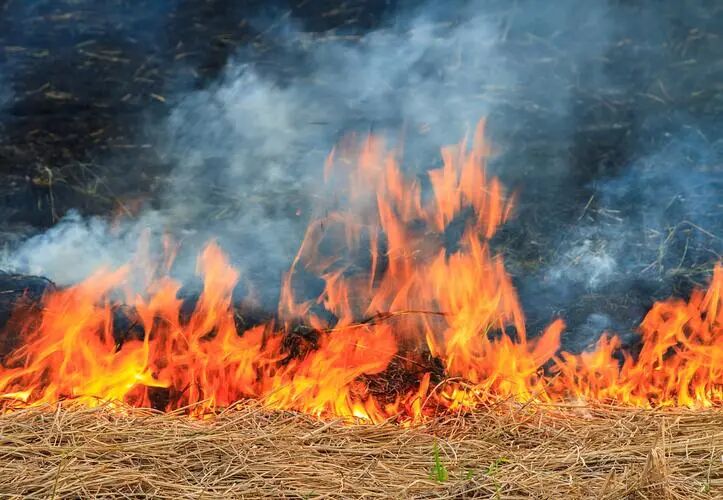 春耕烧荒危害大,高速行车隐患多,这些风险要知道