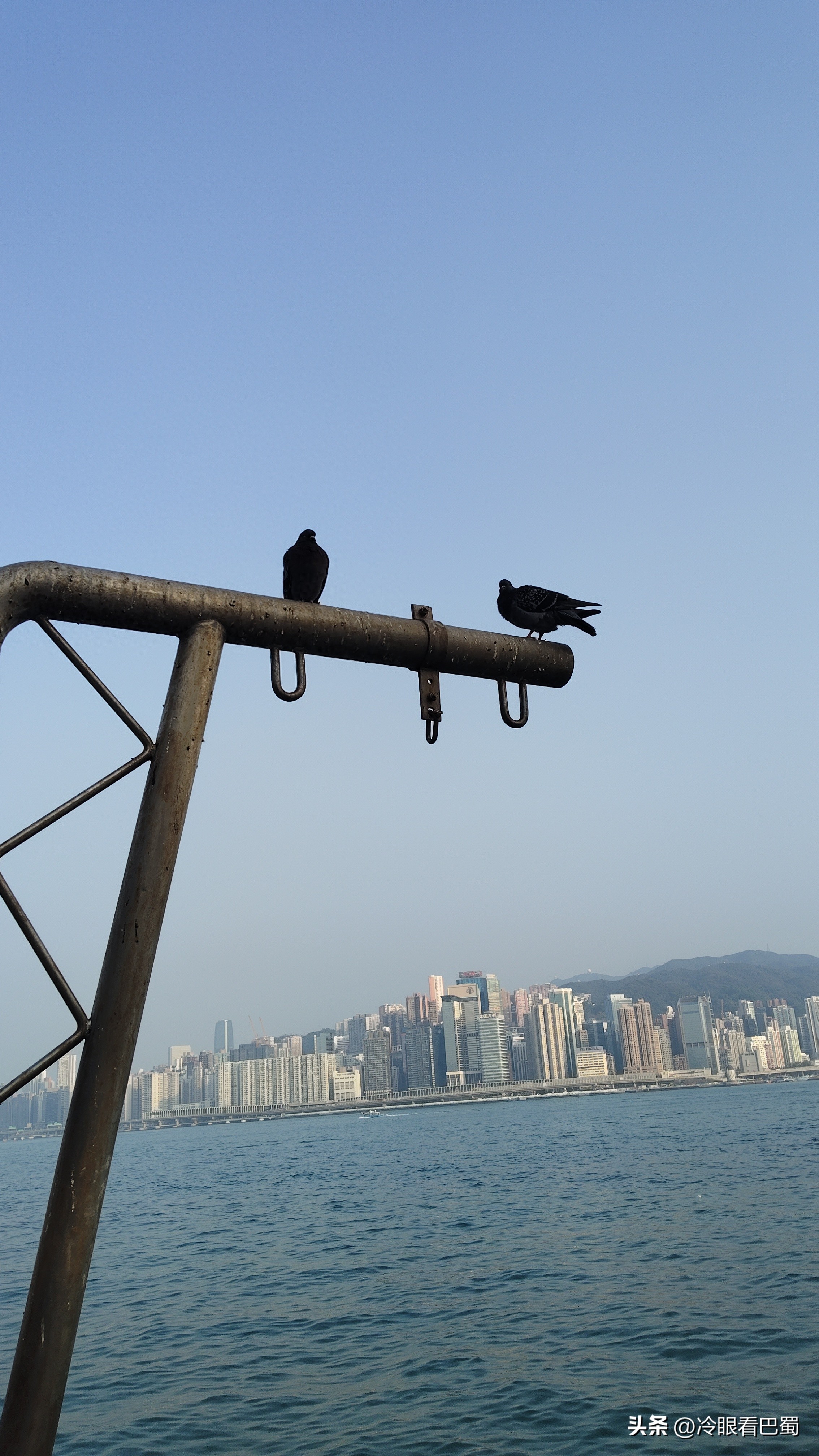 交通违章竟与保费挂钩，这些真实案例你得知道