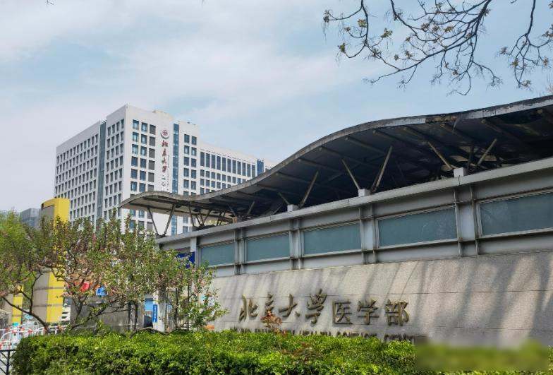 警惕!这些假大学毕业证骗局,专坑高考落榜生和家长