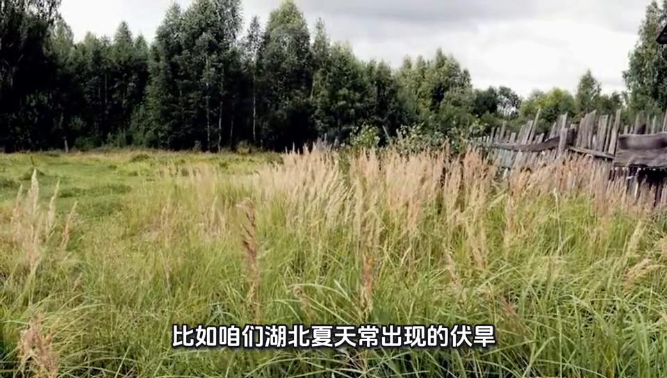 高考地理必考:天气系统这样记,冷锋暖锋不再懵