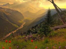 湖南少数民族高考加分 最新政策速查